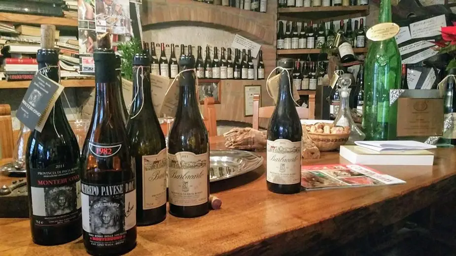 L'uomo che si fece vino, Lino Maga e il suo Barbacarlo