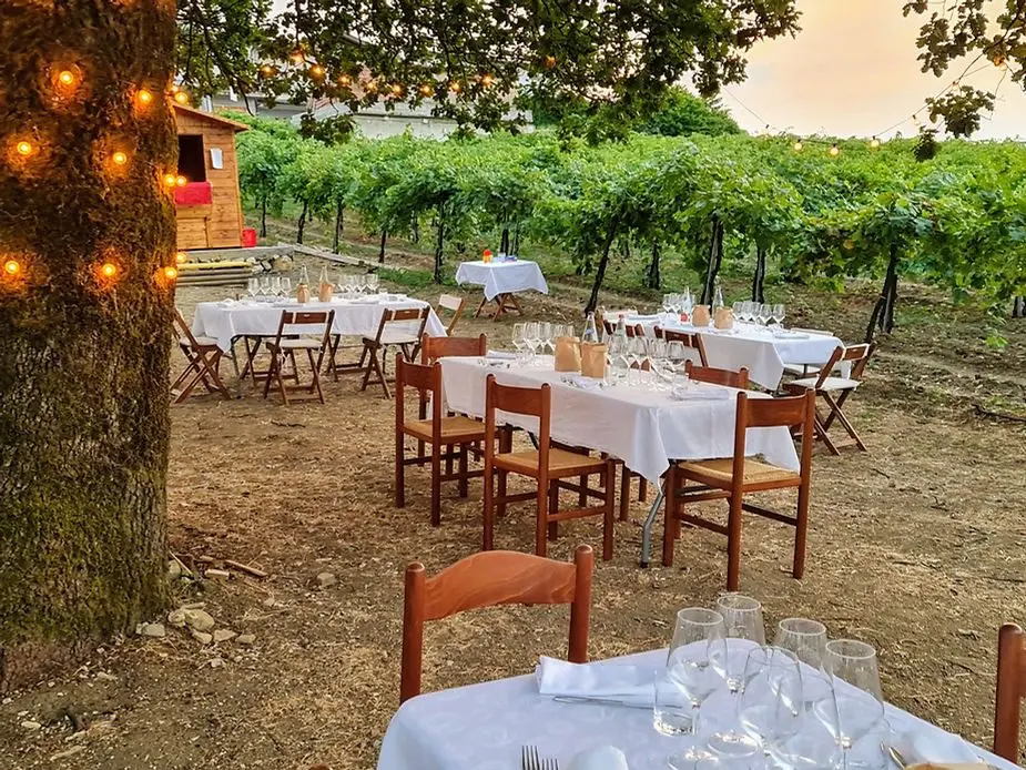 Cena in vigna Azienda Agricola Calatroni