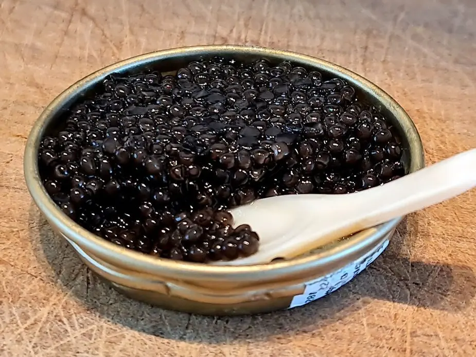 Caviale. Bisogna attendere una media di dodici anni prima di poterlo assaggiare