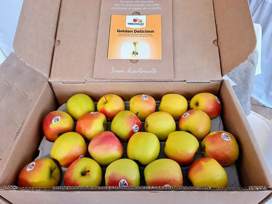 Le mele della Val Venosta non sono tutte uguali, la Golden Delicious una delle più buone
