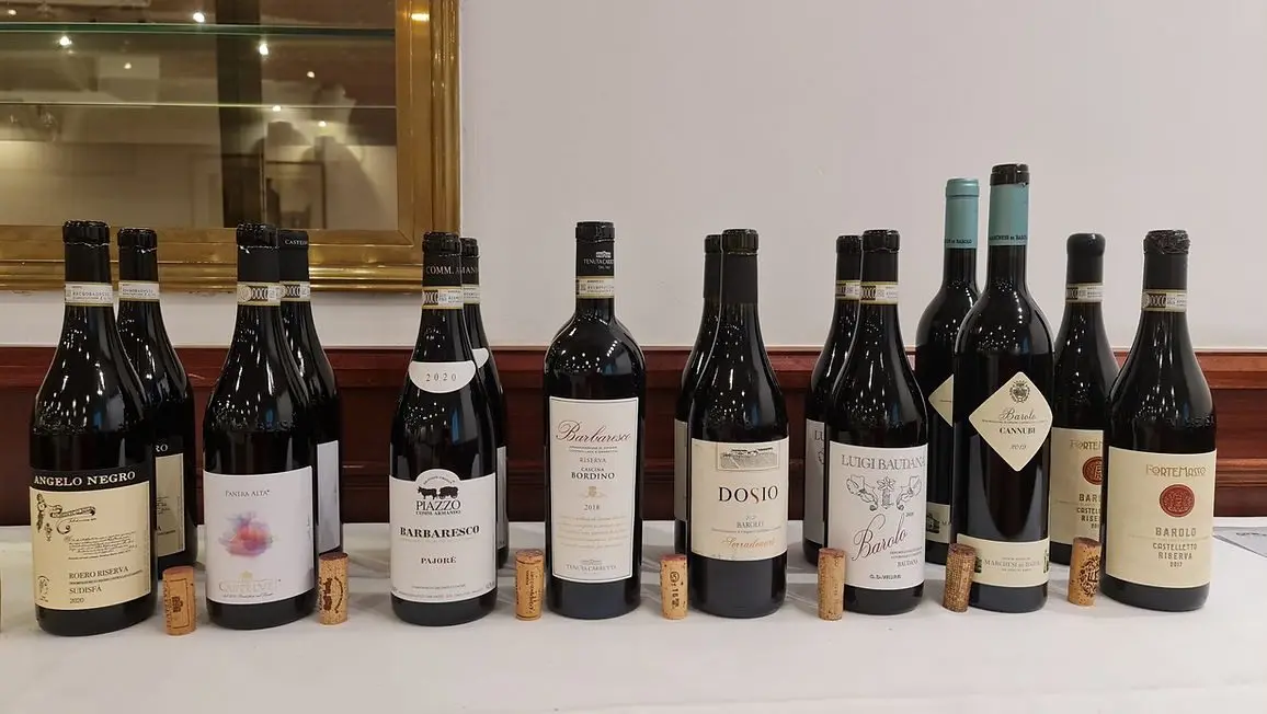 Go Wine Barolo, Barbaresco, Roero