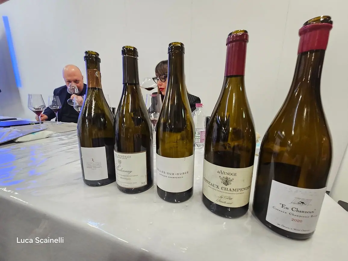 Coteaux Champenois, a Modena Champagne Experience 2024