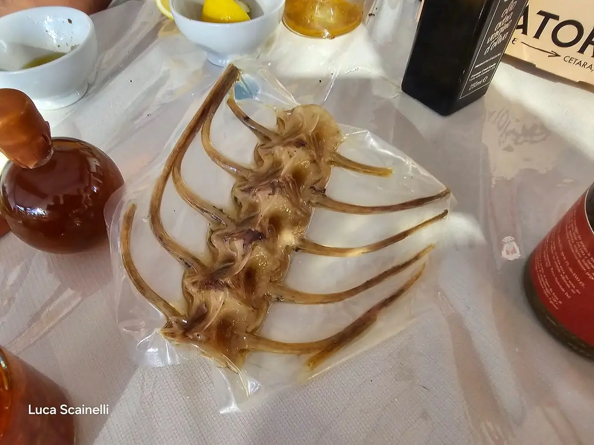 L'Ossobuco di tonno: Un'Innovazione Gastronomica