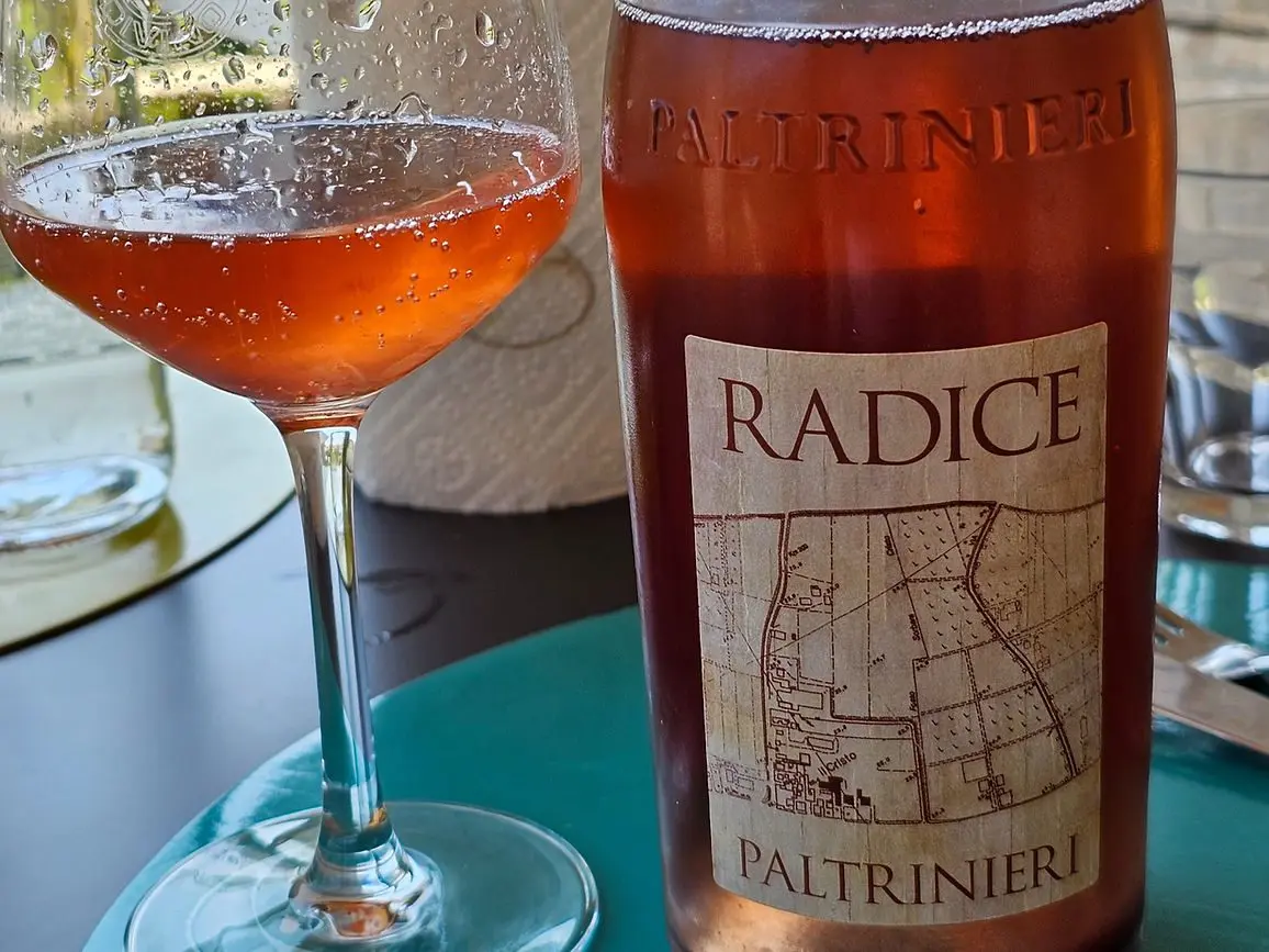 LAMBRUSCO DI SORBARA DOC RADICE 2022