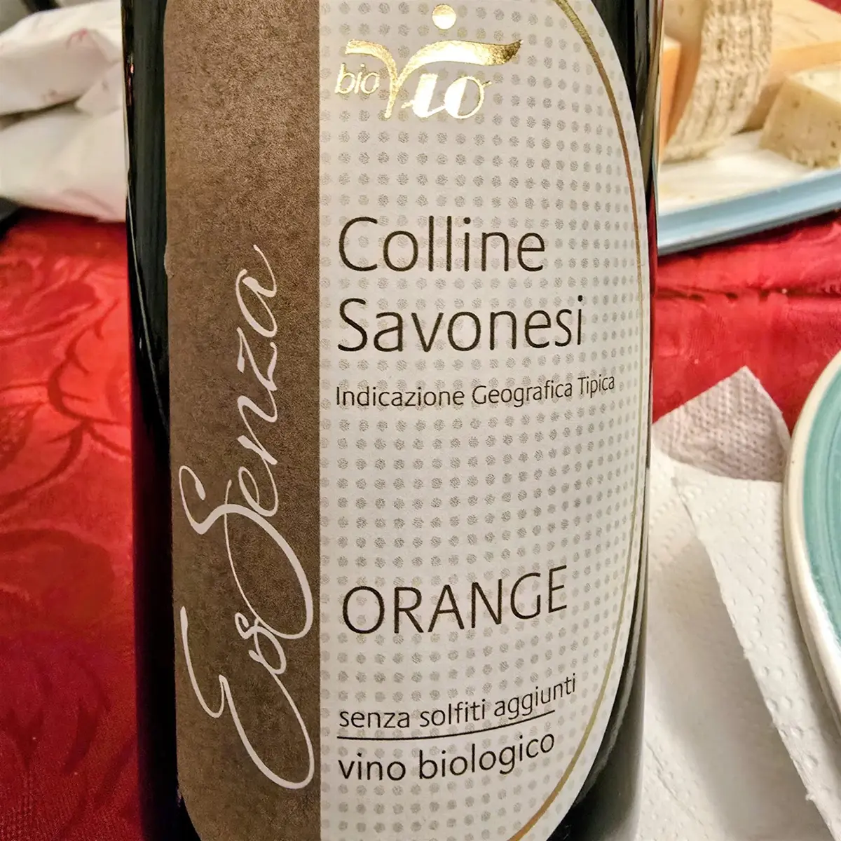 Nettare di Vite: EsSenza Pigato IGT, un Orange Wine che spiazza