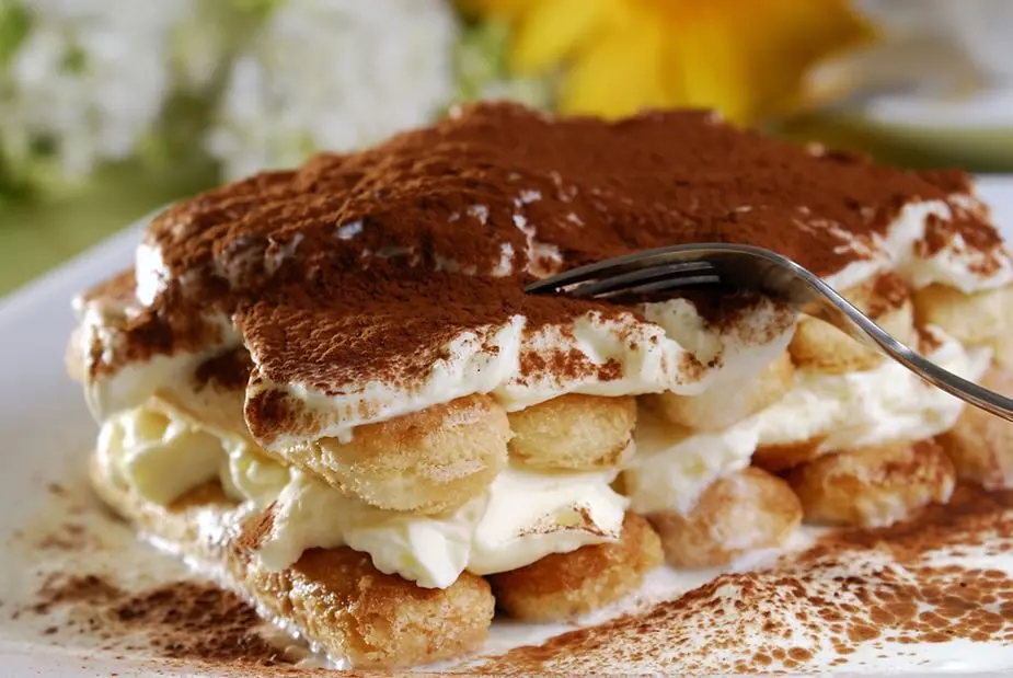 Tiramisù - Coppa Vetturino Tireme su - l'origine del dolce più famoso al Mondo, un libro