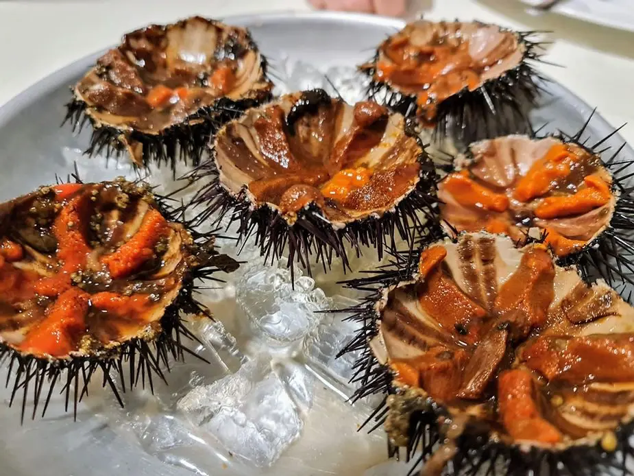 Trovare il mare fra le spine di un riccio e mettersi a cantare