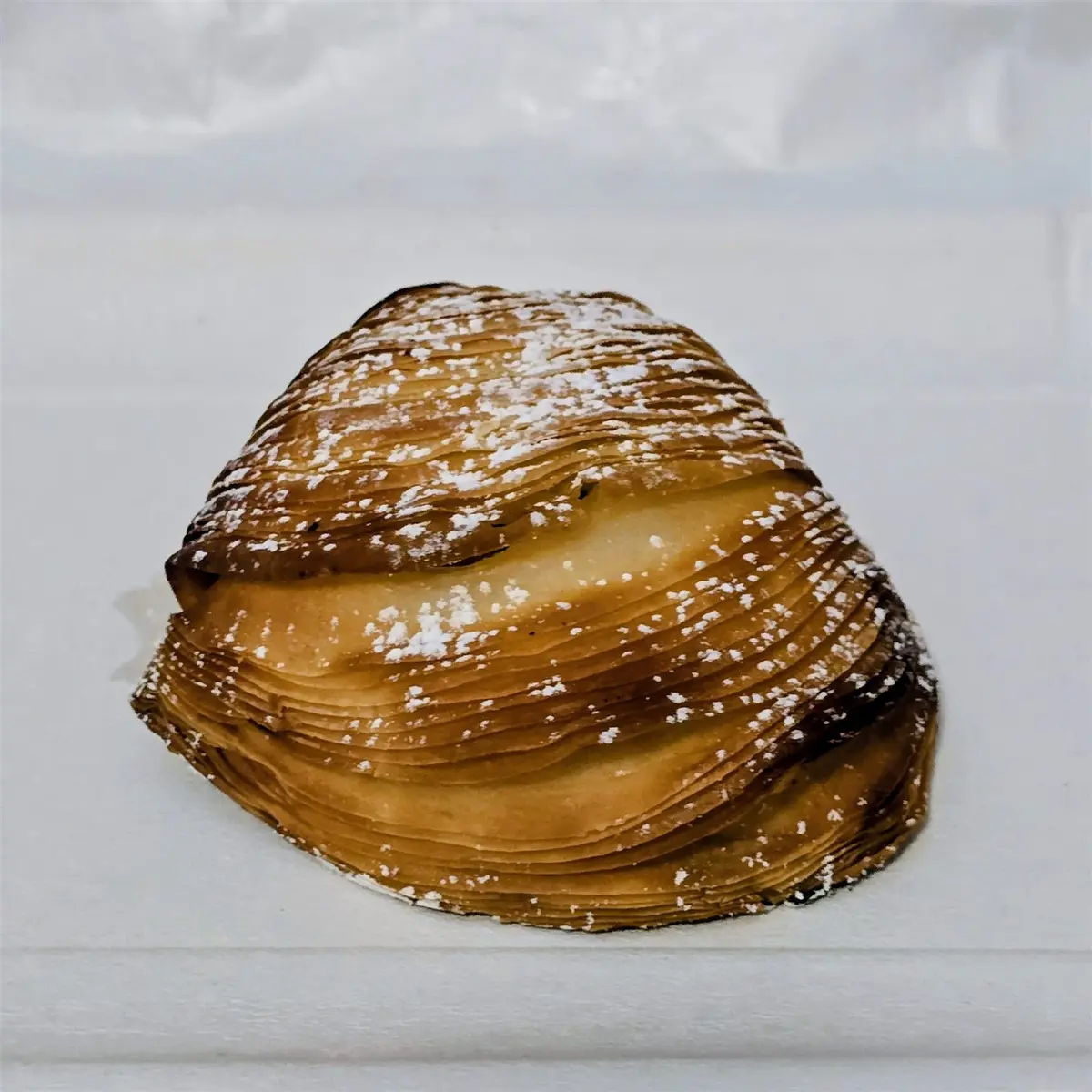Alchimie Dolci e Aromi: Sfogliatella Riccia, un’occasione mancata