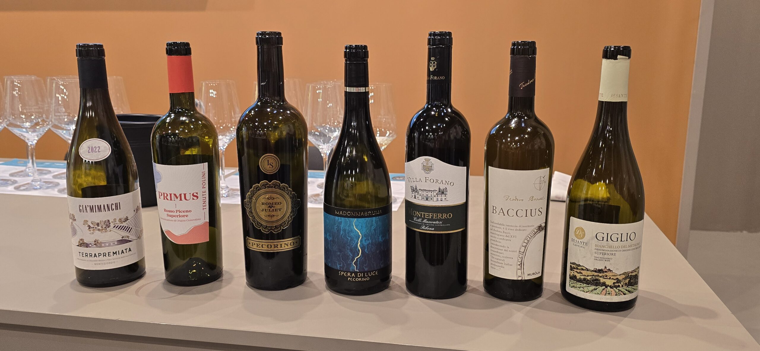 Bottiglie di vino in fila durante una degustazione al Vinitaly
