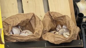 Due sacchetti di carta con bulbi d'aglio in una cassetta di legno su un banco di frutta e verdura